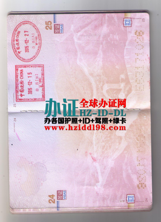 中国用替头护照