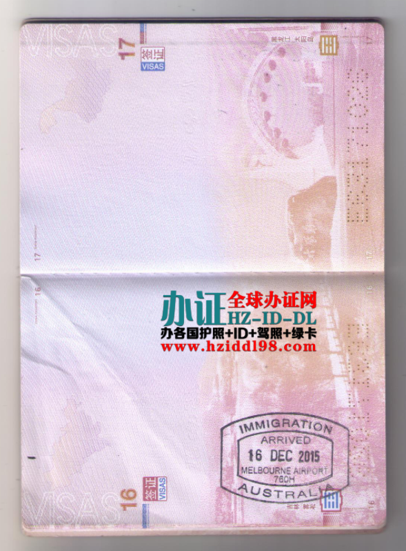 替头护照在哪里办
