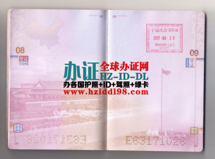 中国出售替头护照